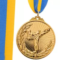Медаль спортивная с лентой Каратэ C-7016 FDSO    Золотой (33508367)