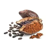 Какао порошок натуральний Mondelez (жирність 10-12%)