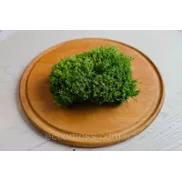 Стабилизированный мох Grren Ecco Moss украинский ягель зеленый 4 кг